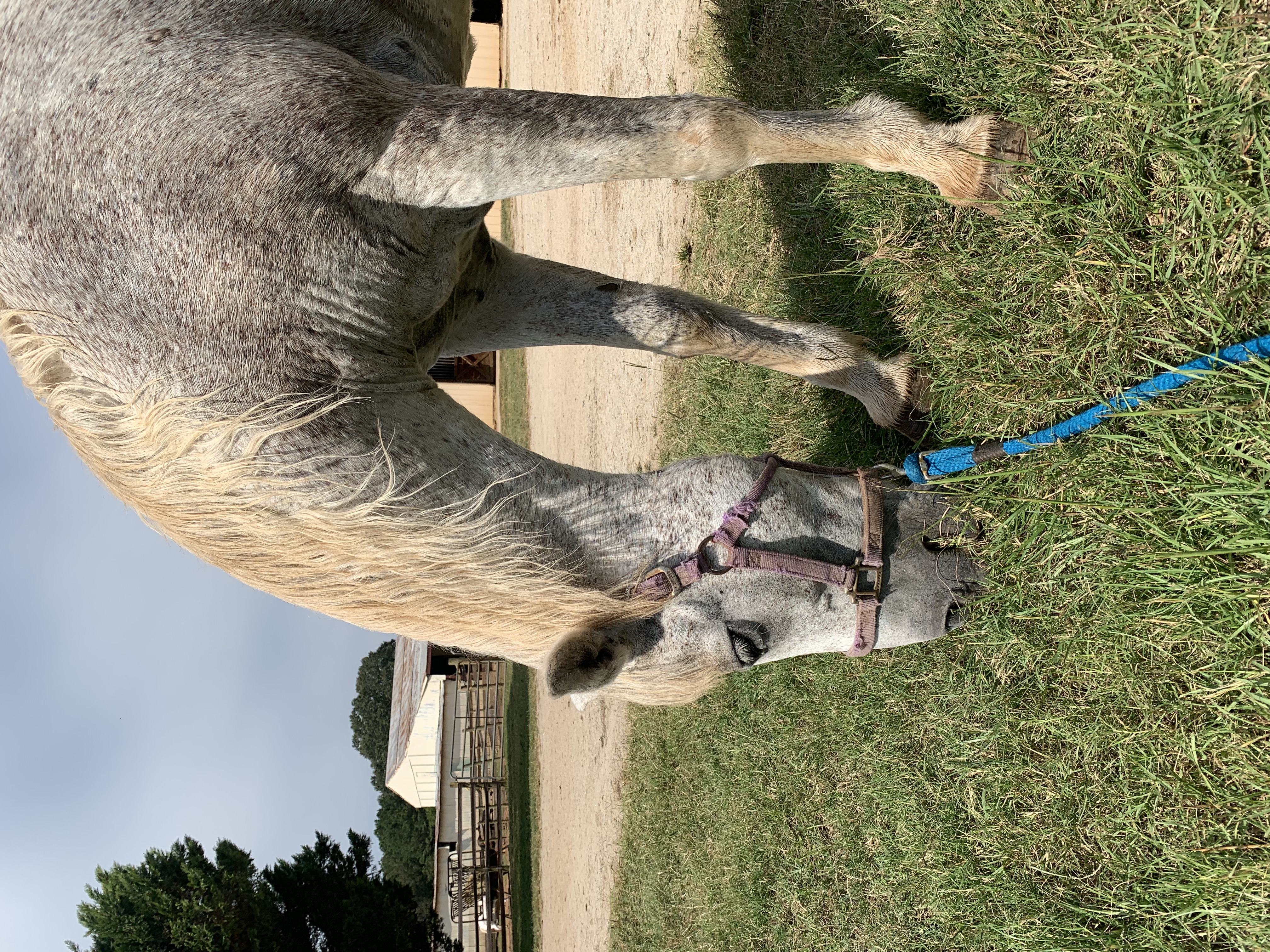 ./2021/07 - Southern Cross/IMG_5528.JPG